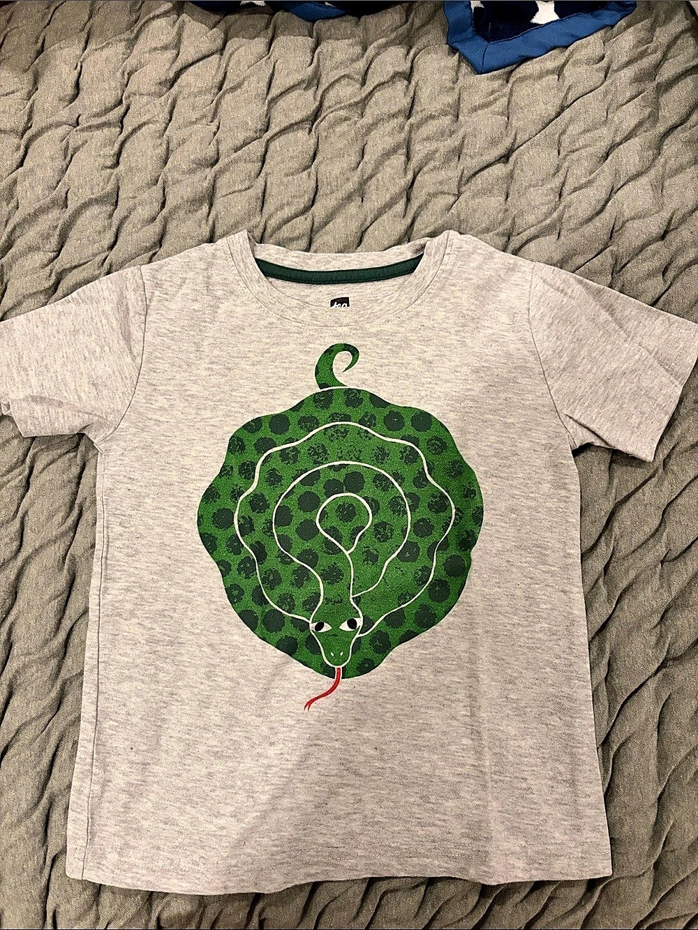 tea Snake Graphic Tee Size 4 in Gray Like New